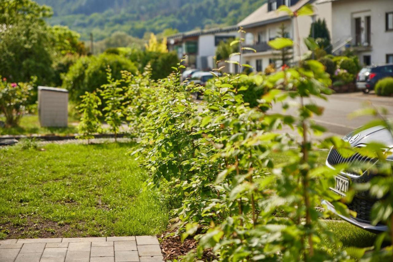 Mittelmosel Panorama Ferienwohnung Kinheim Eksteriør bilde